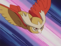 Noctowl de Ash usando picotazo.