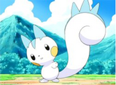Pachirisu