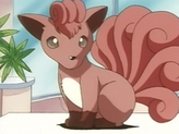 Vulpix
