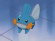 Mudkip