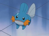 Imagen de Mudkip