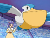 Pelipper