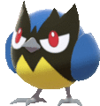 Imagen de Rookidee en Pokémon Espada y Pokémon Escudo