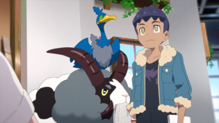 Imagen de Dubwool