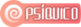 Tipo psíquico
