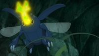 Heracross de Ash usando megacuerno.