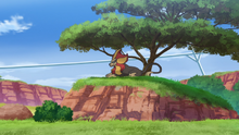 Pyroar salvaje en la Área Árida.