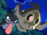 Shuppet