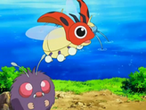 Ledyba