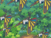 Un grupo de Beautifly volando sobre el bosque.
