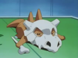 Cubone