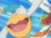 Pelipper