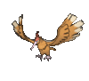 Imagen de Fearow en Pokémon X, Pokémon Y, Pokémon Rubí Omega, Pokémon Zafiro Alfa, Pokémon Sol, Pokémon Luna, Pokémon Ultrasol y Pokémon Ultraluna