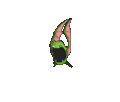 Imagen de Golbat variocolor hembra en Pokémon Espada y Pokémon Escudo