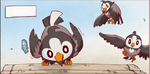 Starly en PNA01