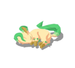 Zarandeacola variocolor