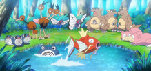 Slowpoke