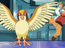 Demostración de la Lección Pokémon EP165