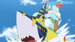 Sharpedo