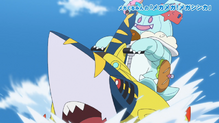 Sharpedo