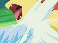 Pistola agua de Wani Wani impacta contra el Typhlosion de Jimmy.