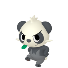Pancham macho
