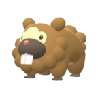 Bidoof