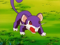 Imagen de Rattata