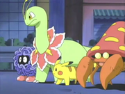 EP341 Tangela, Meganium y Parasect de la Oficial Jenny junto a Pikachu.PNG