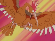 EP237 Fearow.png