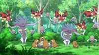 Pokémon que habitan el bosque.