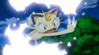 Meowth usando golpes furia.