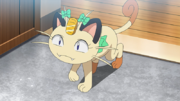 EP1184 Meowth de Butch.png