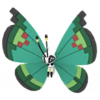 Vivillon vergel