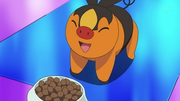 EP676 Tepig comiendo.png