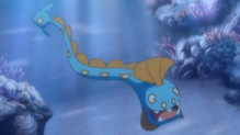 Huntail