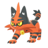 Torracat