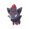 Zorua