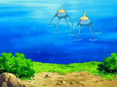 Surskit