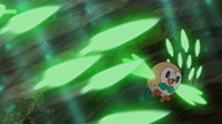 Rowlet de Ash usando follaje.