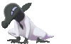 Imagen de Salandit variocolor en Pokémon Espada y Pokémon Escudo
