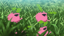 Hoppip