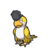 Squawkabilly amarillo
