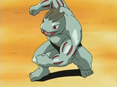 Machoke
