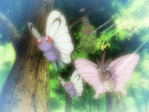 Butterfree