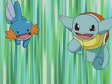 Mudkip