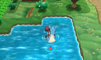 Kalm usando surf sobre Lapras en Pokémon X y Pokémon Y.