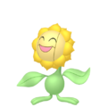 Sunflora HOME.png