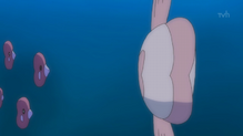 Alomomola