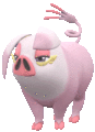Imagen de Oinkologne variocolor hembra en Pokémon Escarlata y Pokémon Púrpura